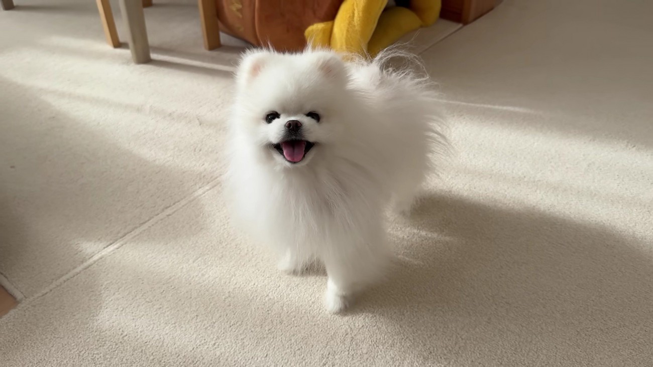 半年ぶりに実家に帰省