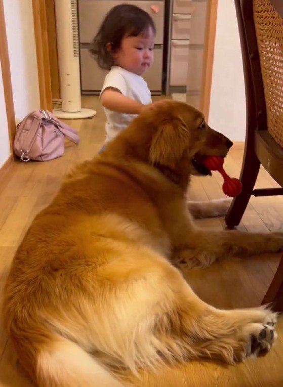 愛情溢れるパトラちゃんでした