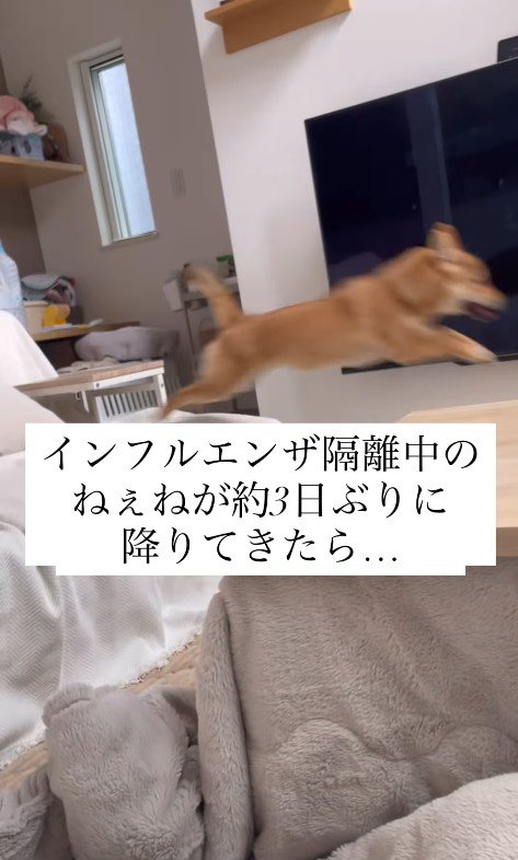 らむねちゃんとお姉ちゃんの再会2