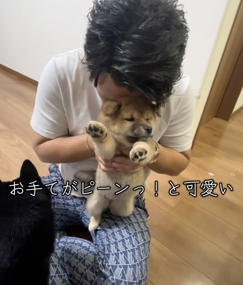 前足が伸びる子犬