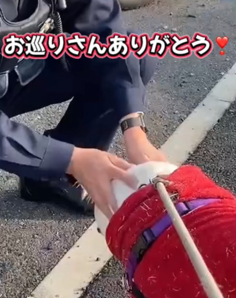 犬を撫でる警察官