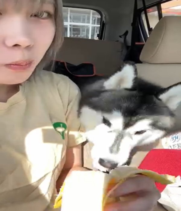 バナナを食べる犬2