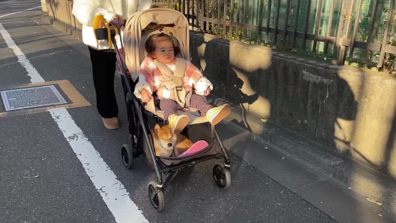 ベビーカーの下段に…