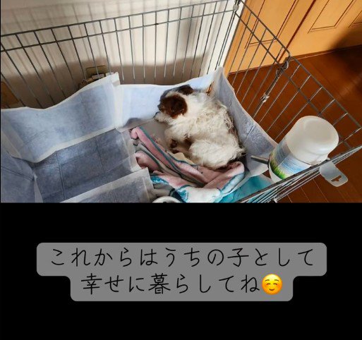 新しい生活がスタート