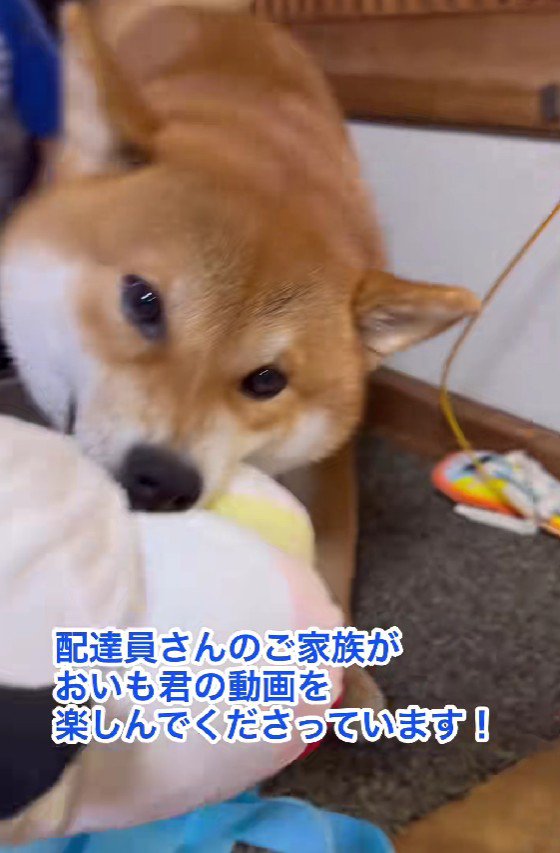 大好きなぬいぐるみ！！