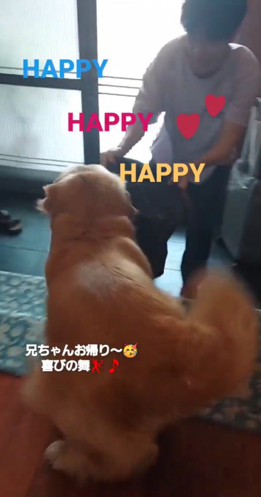 喜ぶ大型犬