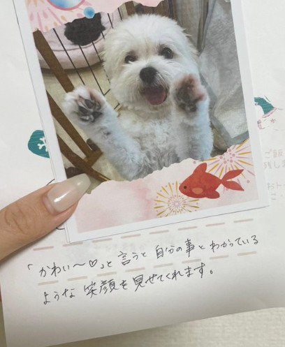 微笑ましい内容にホッコリ♡