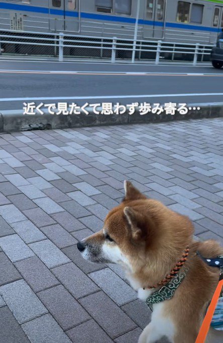 少しずつ歩み寄る