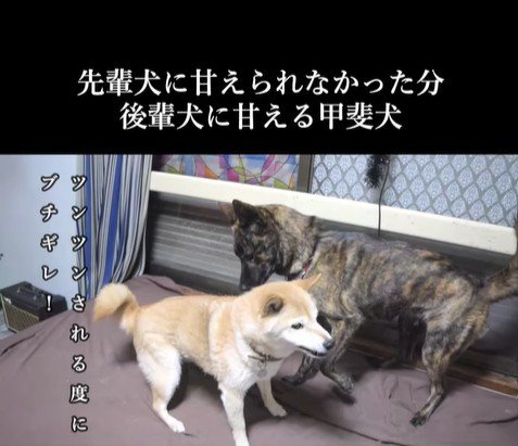 甘えん坊なハルヱちゃんの過去と現在3