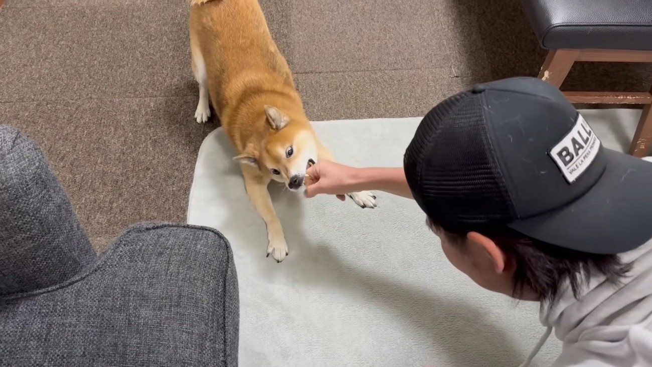 パパに牙を向けてしまった