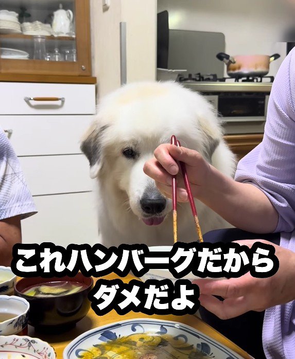 反則級の可愛さ
