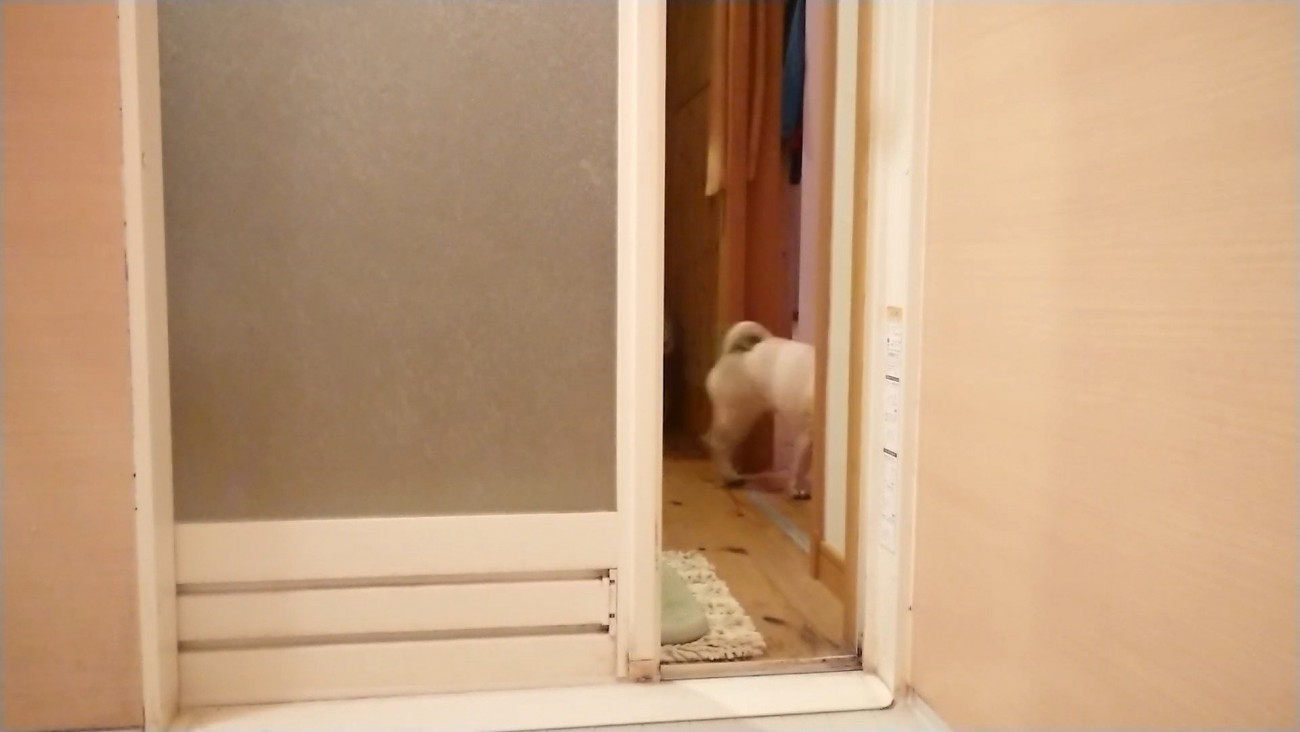 出て行ってしまいました…