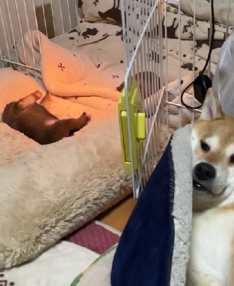 傍らにいたのは…