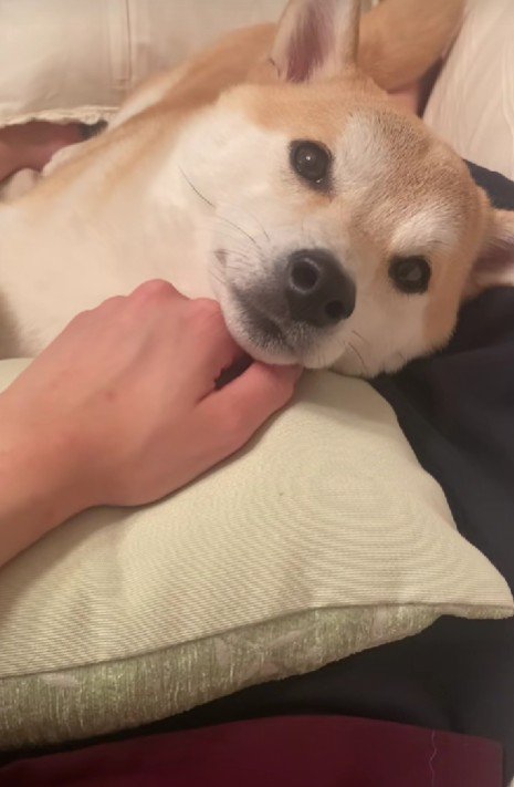 「もう終わり？」