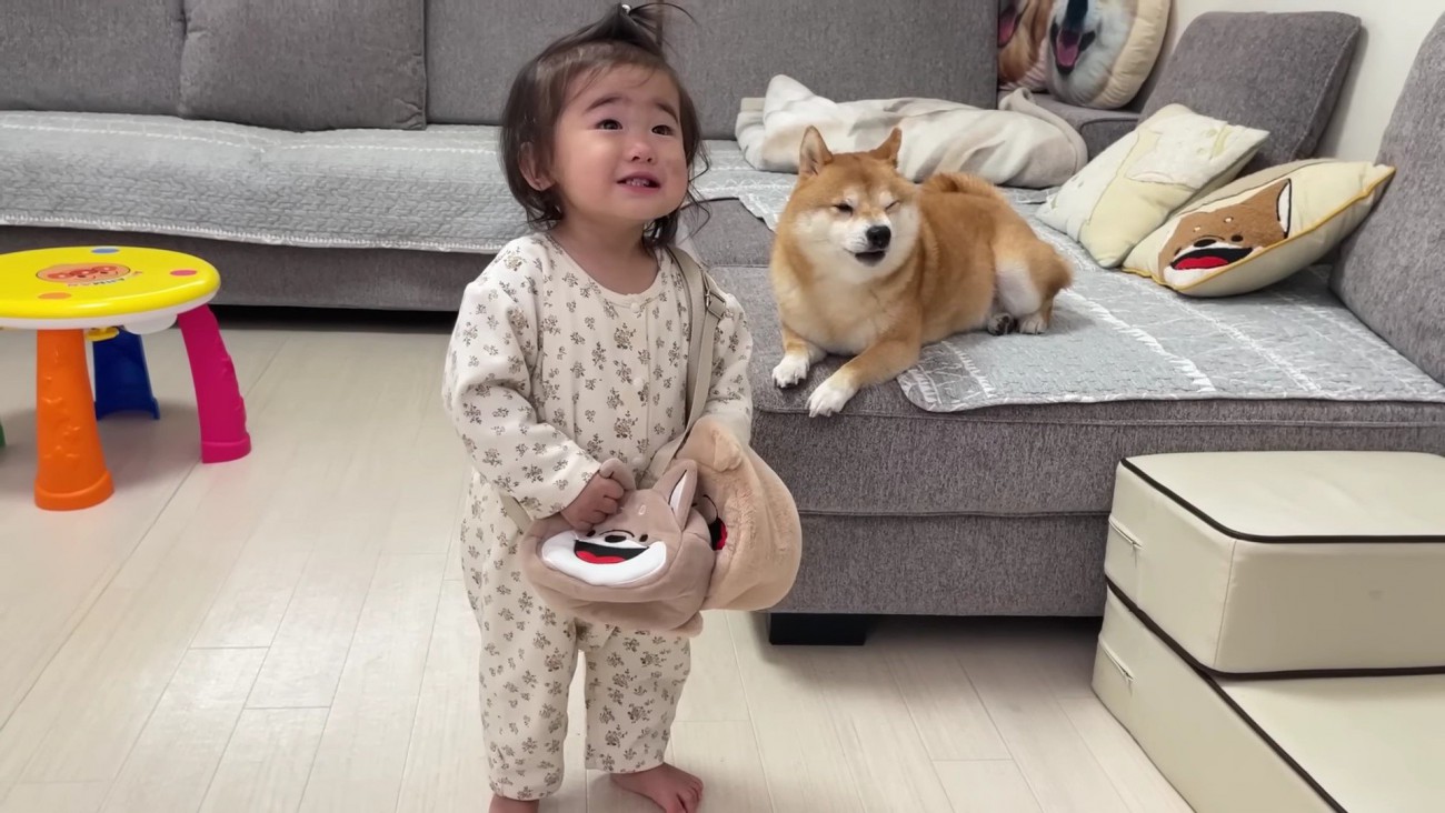 わんこ愛が溢れるほのちゃん