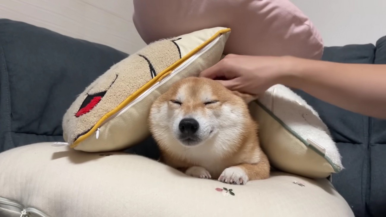 優しさで雷を乗り越えたよ♪