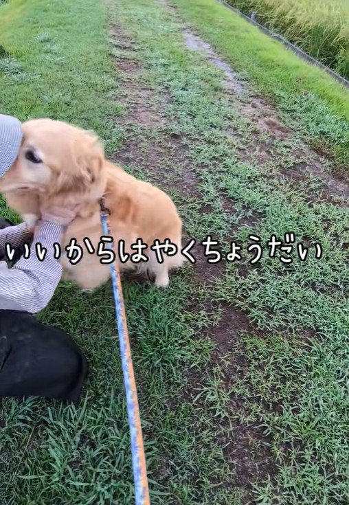 「早くちょうだい！」とアピール