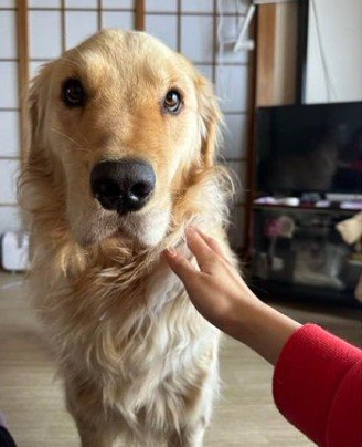 表情が人間みたい…！