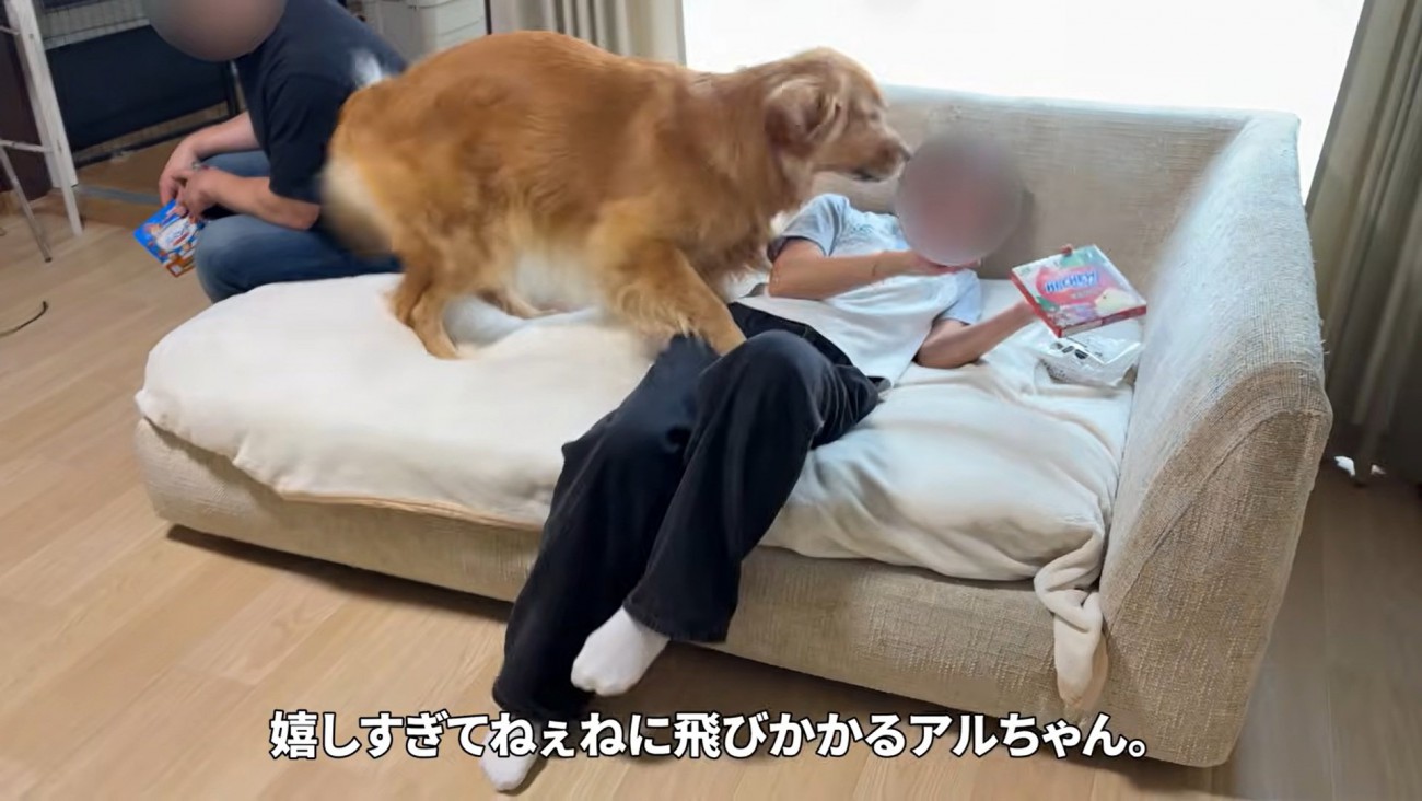 お姉ちゃんに飛びつくアルト君