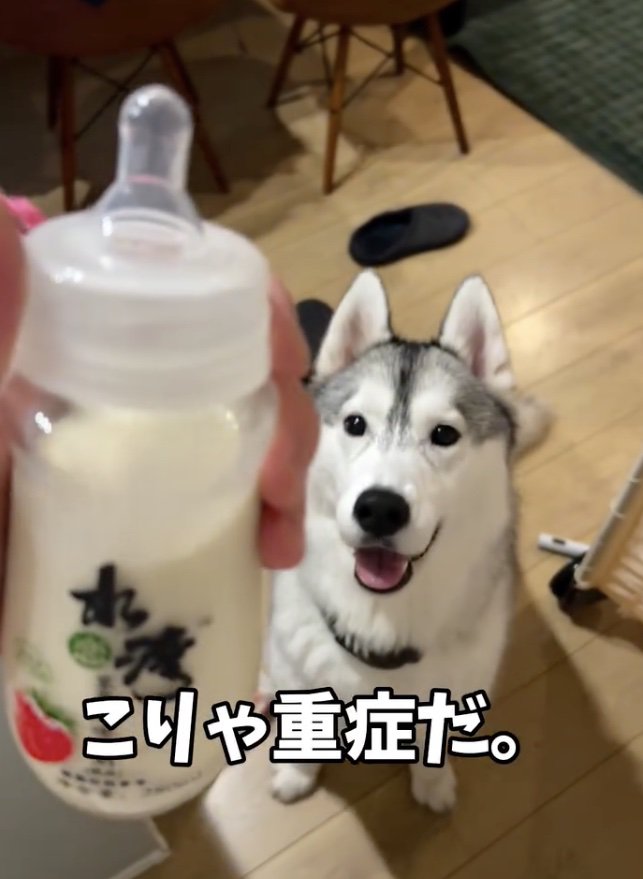 大きめの赤ちゃんがここに