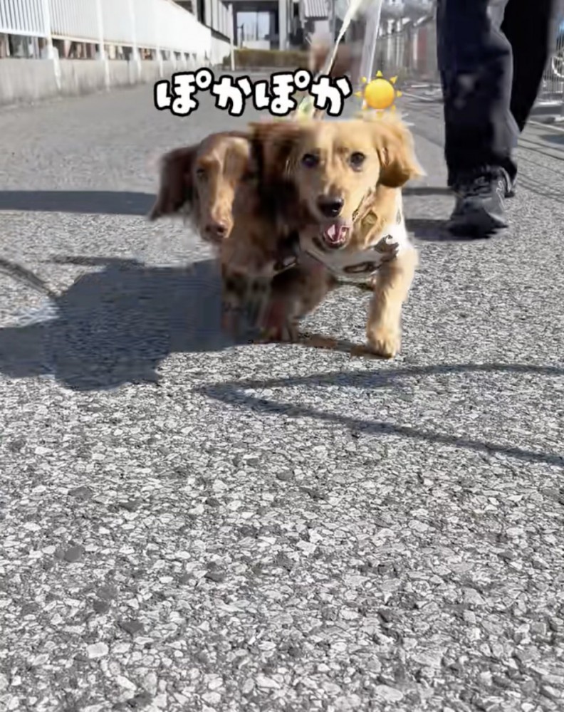 「たのしい！！」