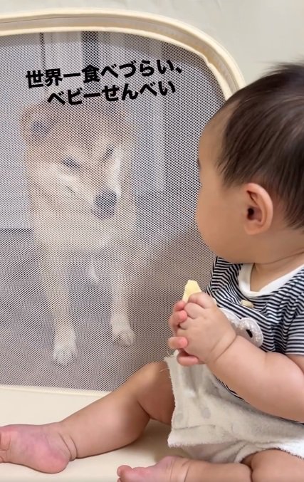 振り向く赤ちゃん