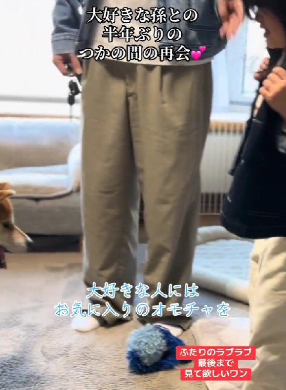 「これで遊ぼう！」