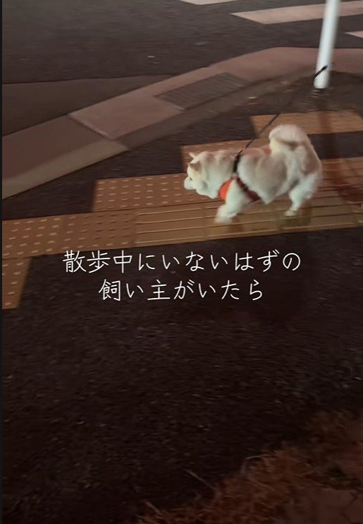 「こっちかな？」