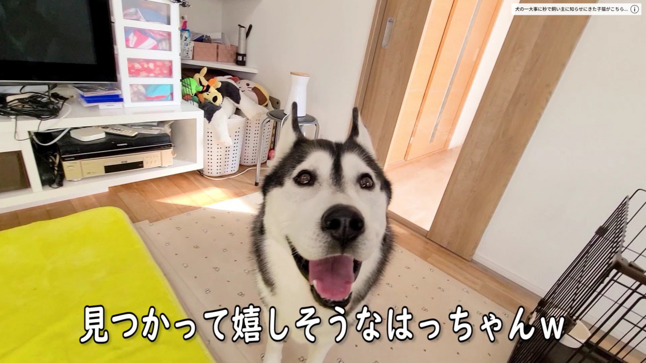 「家出したかと思ったよ～」