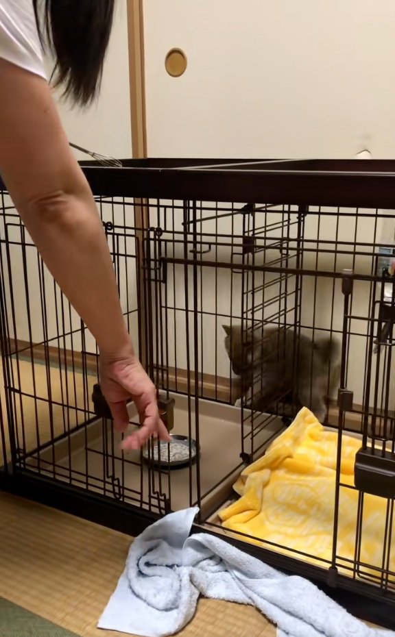 指さしをする飼い主さん