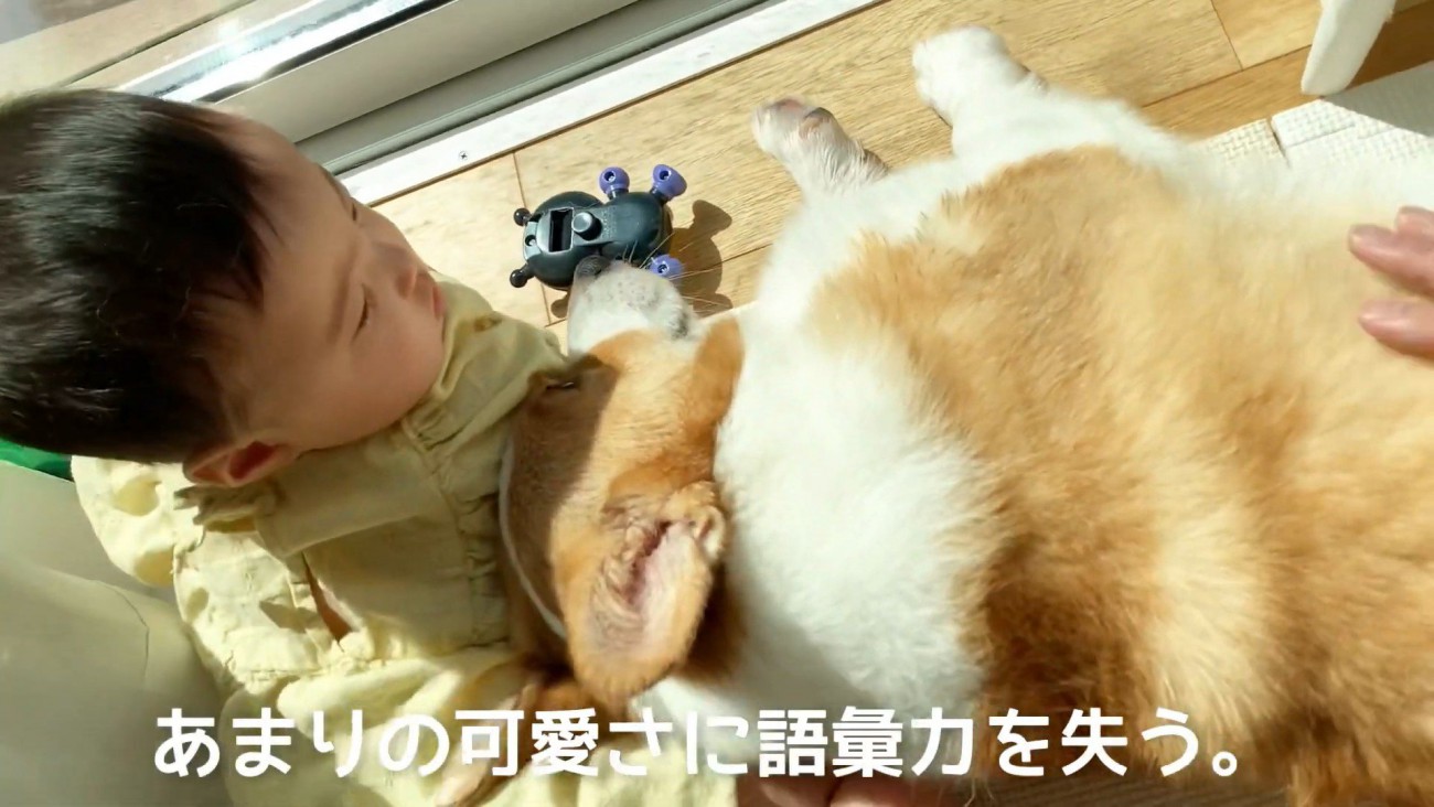 赤ちゃんが振り向くと…