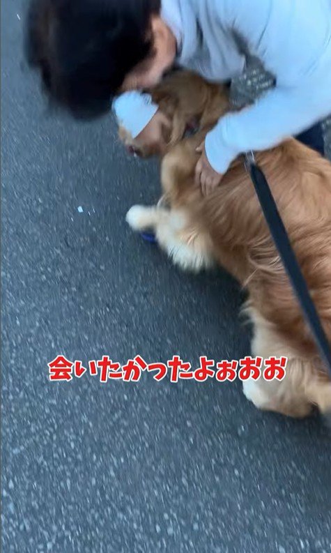 ピノくんとご夫婦の再会4