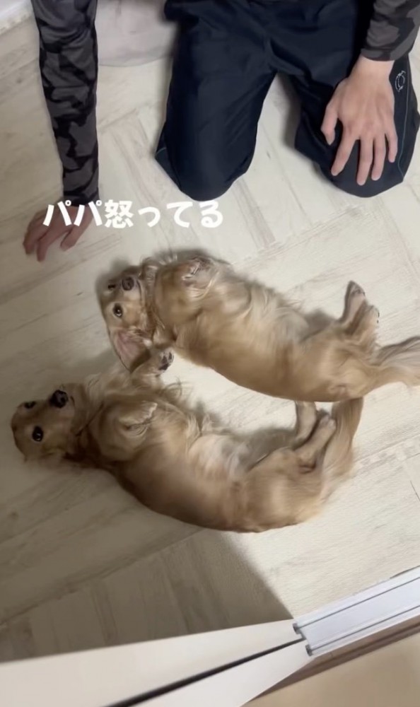 「なんでぇ〜？」