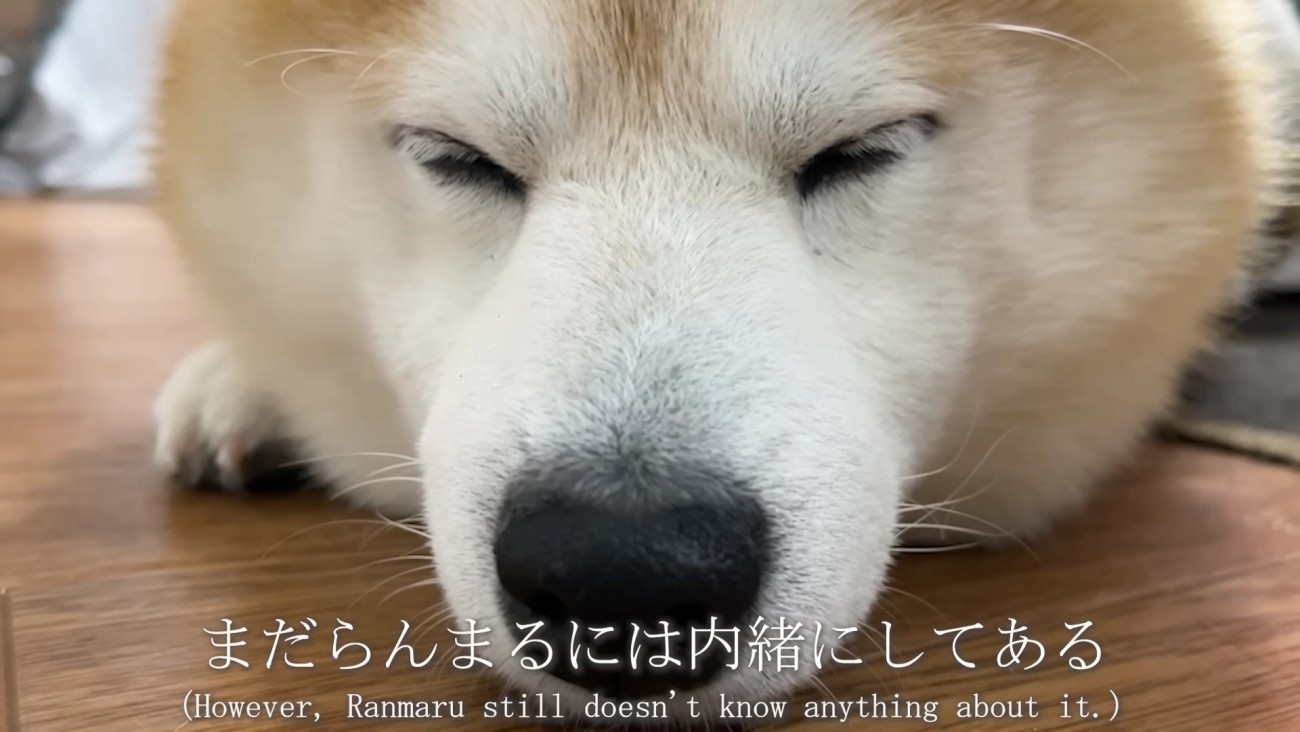 サプライズが待っています…♪