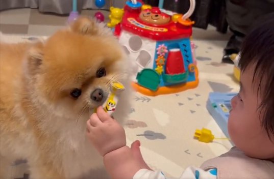 記念すべき瞬間