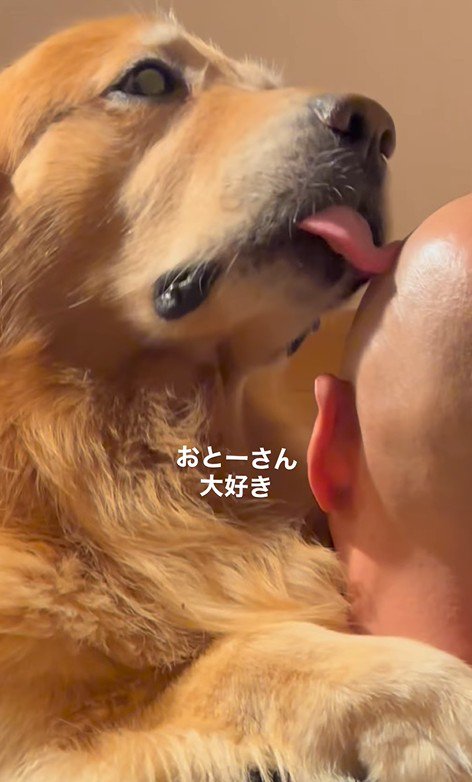 パパさんに甘えるモッシュくん⑩