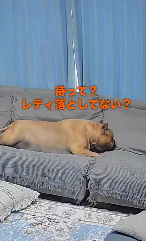 まだ食べ足りない！？