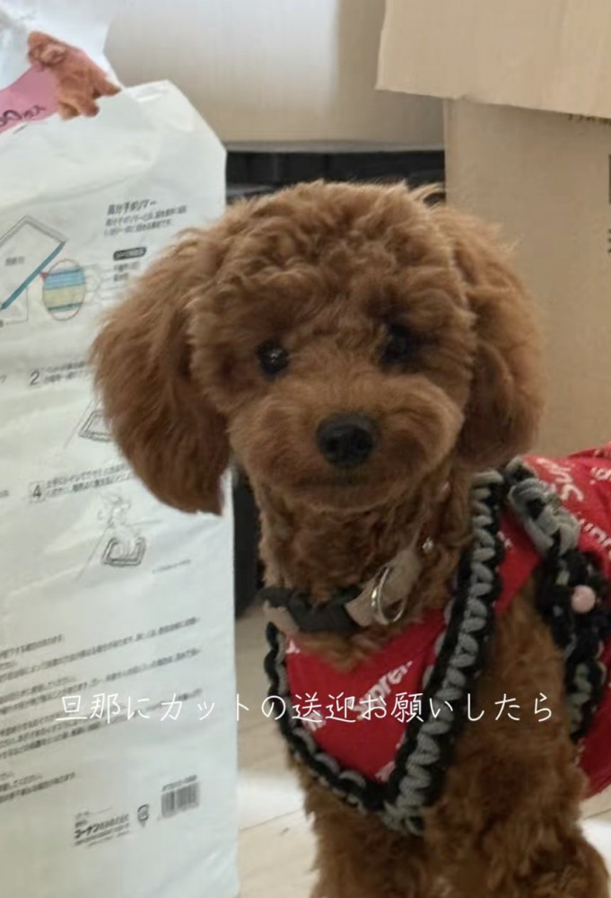 「行ってきます〜」