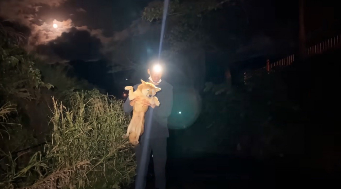 抱き上げられる犬