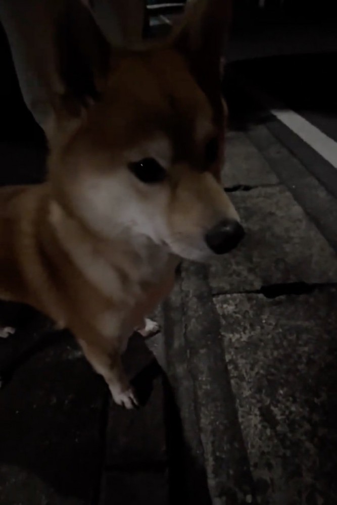 美声、次はいつ聞けるかな？