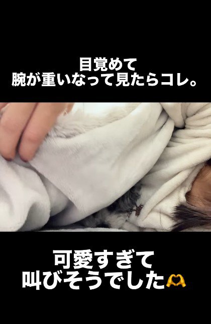 腕が重たくて起きたら…