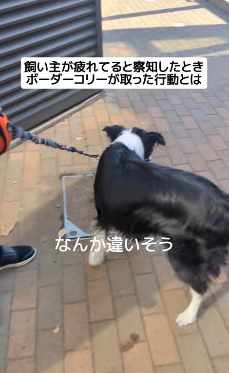 ジッピーくんの気遣い3