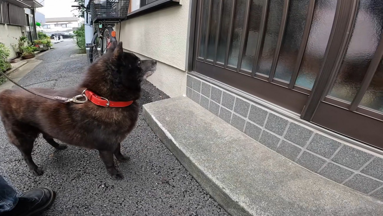 ドアの前で大人しく待機