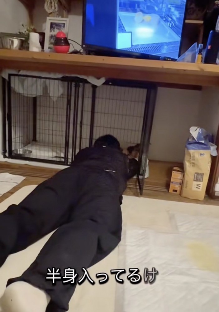 愛が大きすぎる息子さん