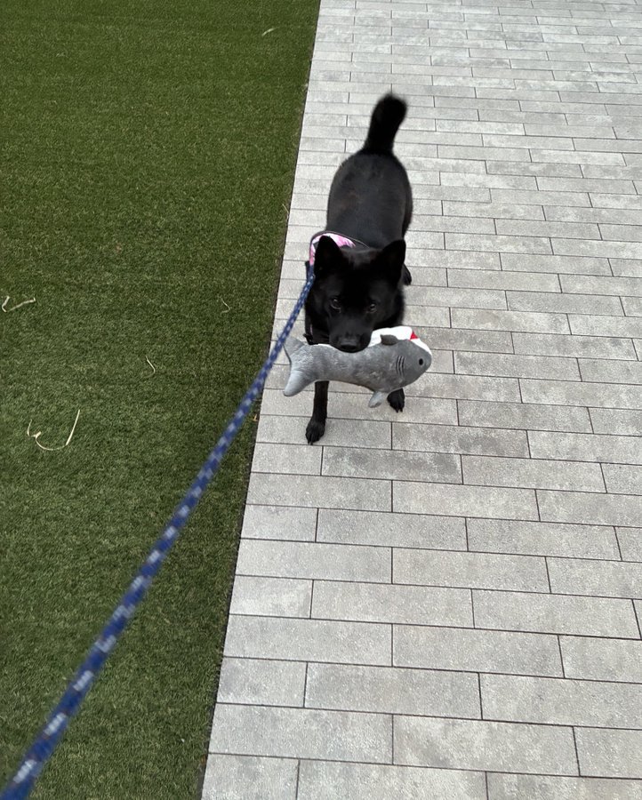 ギャップ