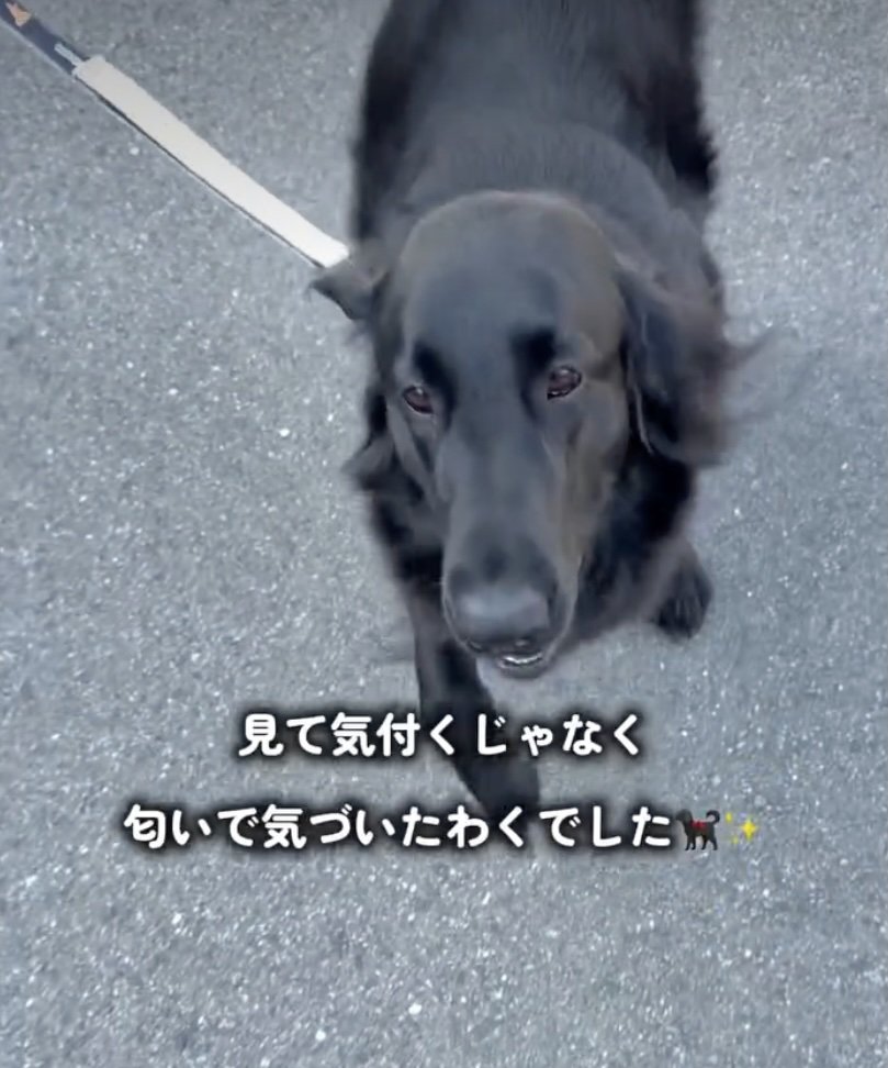 いつだって、帰りを待ってるよ