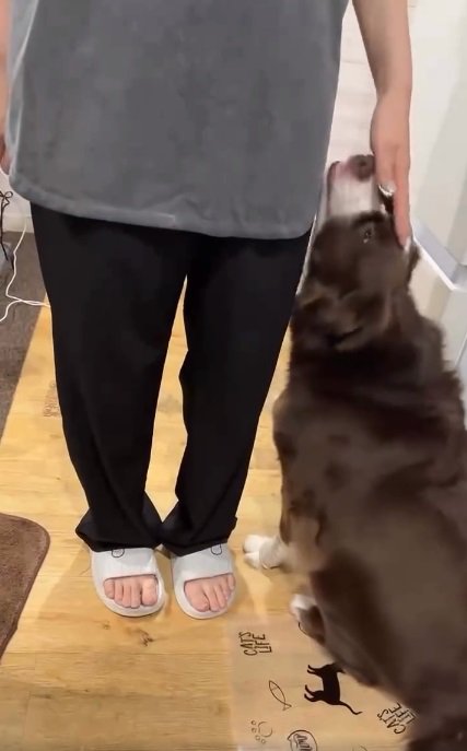 テールちゃんを撫でるママ