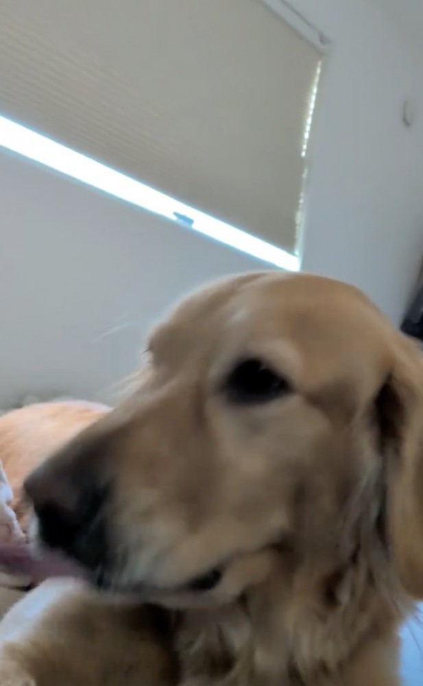 手を追いかけて