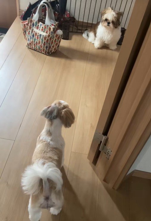 「私だよ！」とアピール