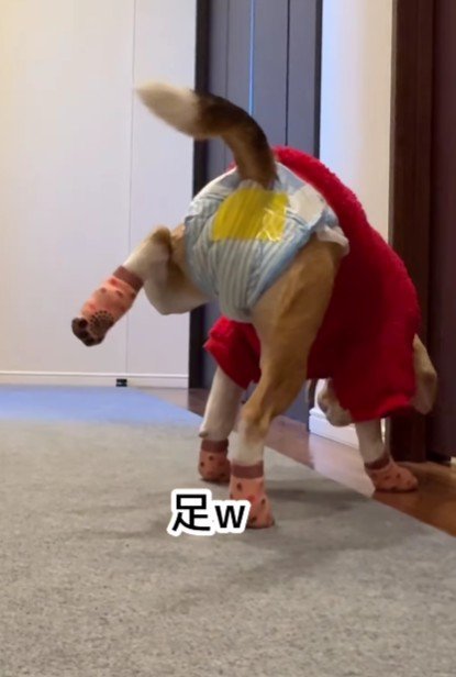 おやつを食べてると…